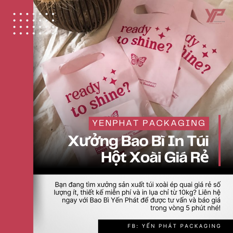 Xưởng Bao Bì In Túi Hột Xoài Giá Rẻ