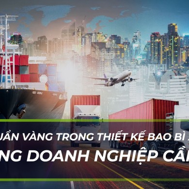 Tiêu chuẩn vàng trong thiết kế bao bì xuất khẩu: Những điều doanh nghiệp cần biết