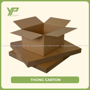 THÙNG CARTON