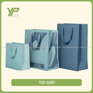 TÚI GIẤY