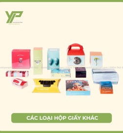 Các loại hộp giấy khác