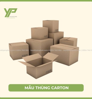 Mẫu thùng carton