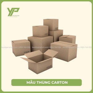 Mẫu thùng carton