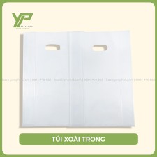 Túi xoài trong