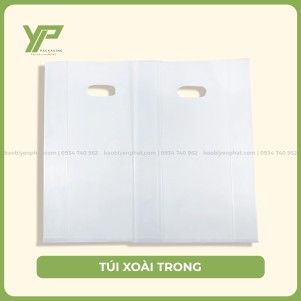 Túi xoài trong