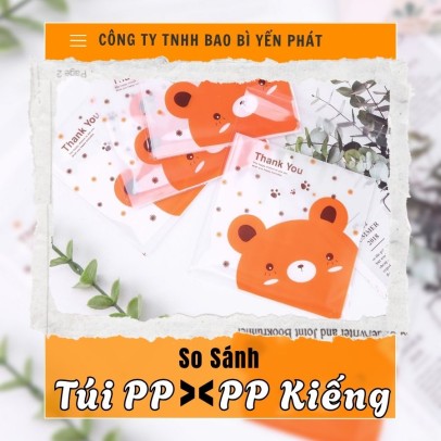 So Sánh Túi PP và PP Kiếng – Nên Chọn Loại Nào Cho Sản Phẩm Của Bạn?